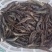 绥中新鲜大虾青虾鲜活超大对虾海鲜水产，每日现捕