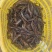 绥中新鲜大虾青虾鲜活超大对虾海鲜水产，每日现捕