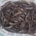 绥中新鲜大虾青虾鲜活超大对虾海鲜水产，每日现捕