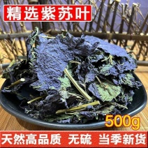 紫苏叶中药材自然晒干***诚信经营中药材合作共赢