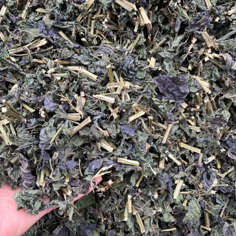 紫苏叶中药材自然晒干***诚信经营中药材合作共赢