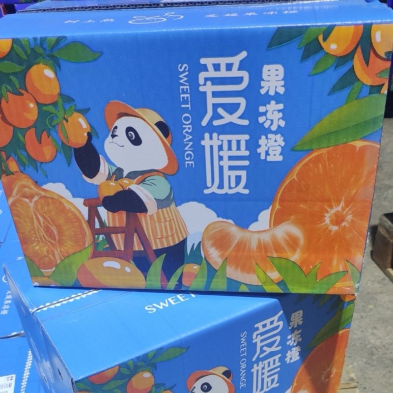 爱媛38号一手货源承接各种渠道分级大宗批发