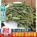 车前草整颗带根现采现晒干净无杂无硫熏冷背中药材