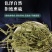 车前草整颗带根现采现晒干净无杂无硫熏冷背中药材