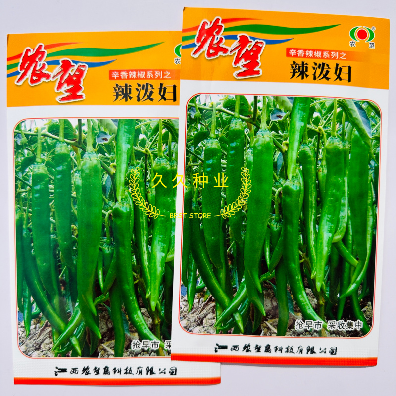 辣泼妇小羊角椒种子杂交羊角辣椒籽早熟高产辣味浓香辣