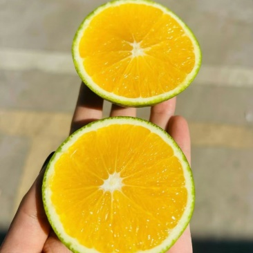 赣南脐橙