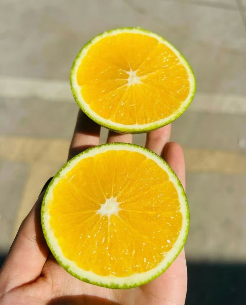 赣南脐橙