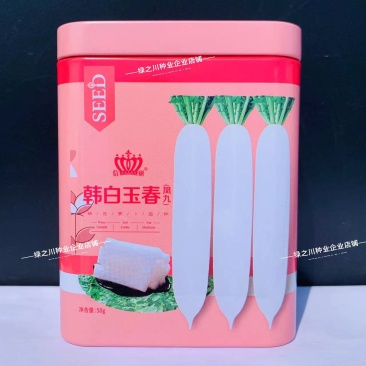 韩白玉春萝卜种子春秋两季白玉白萝卜种籽脆嫩高产杂交新一代