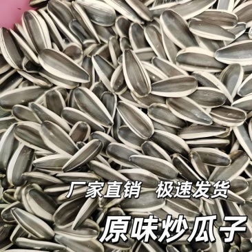 新货原味葵花籽瓜子坚果炒货批发零售源头厂家