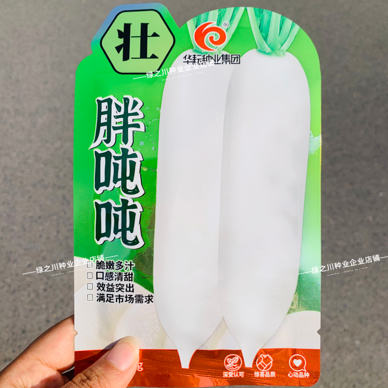 胖吨吨甜脆大白萝卜种籽特大号白萝卜种子秋季耐寒蔬菜种子