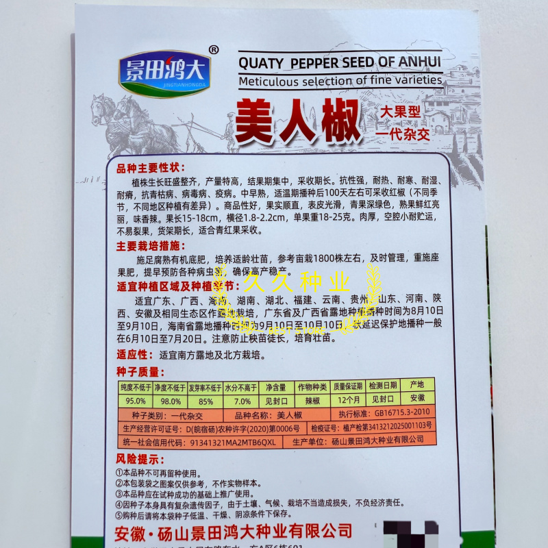 鸿大美人椒种子中早熟大果美人辣椒种香辣耐裂抗病产量高