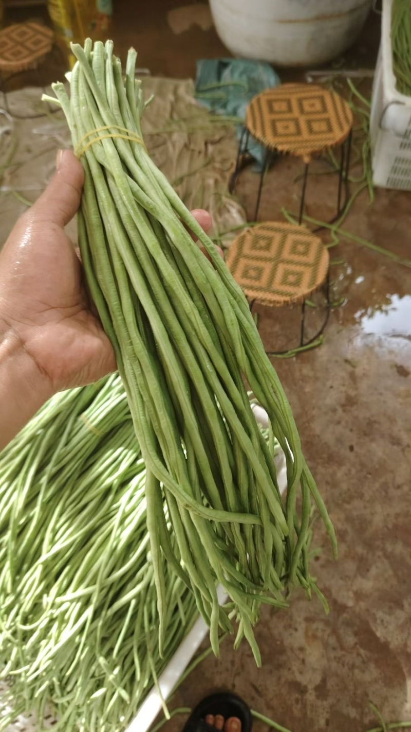 精品虹豆二级货垃圾货都有