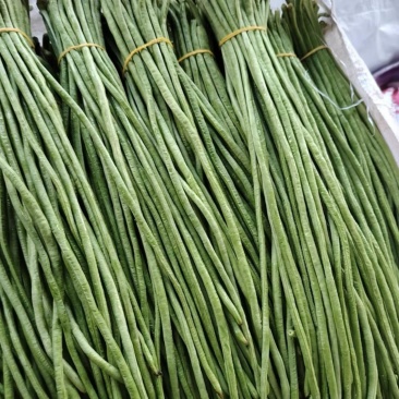 精品虹豆二级货垃圾货都有