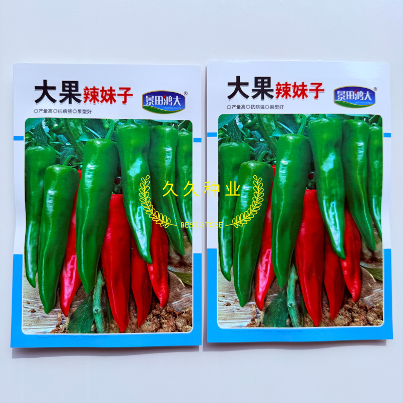 鸿大大果辣妹子辣椒种子杂交早熟抗病高产青红两用辣味香浓