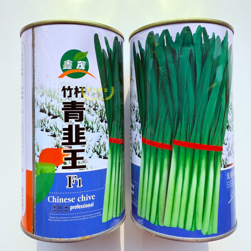竹杆青韭菜种子抗寒新品种生长势强生长速度快抗病露地棚地