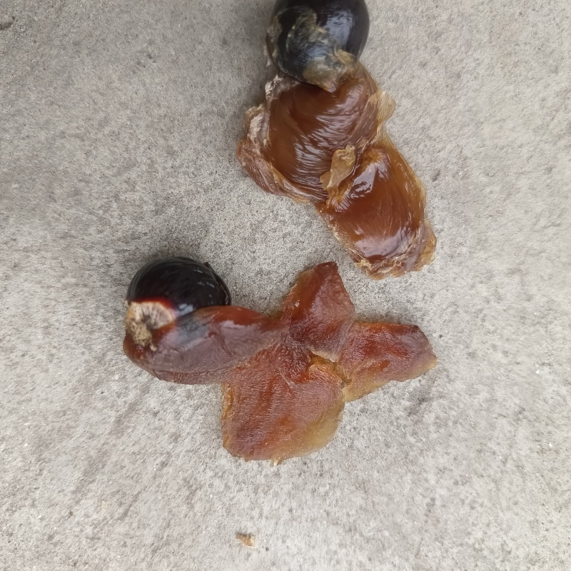 广西储良龙眼干，桂圆干粒大饱满壳薄肉厚，口感香醇欢迎选购