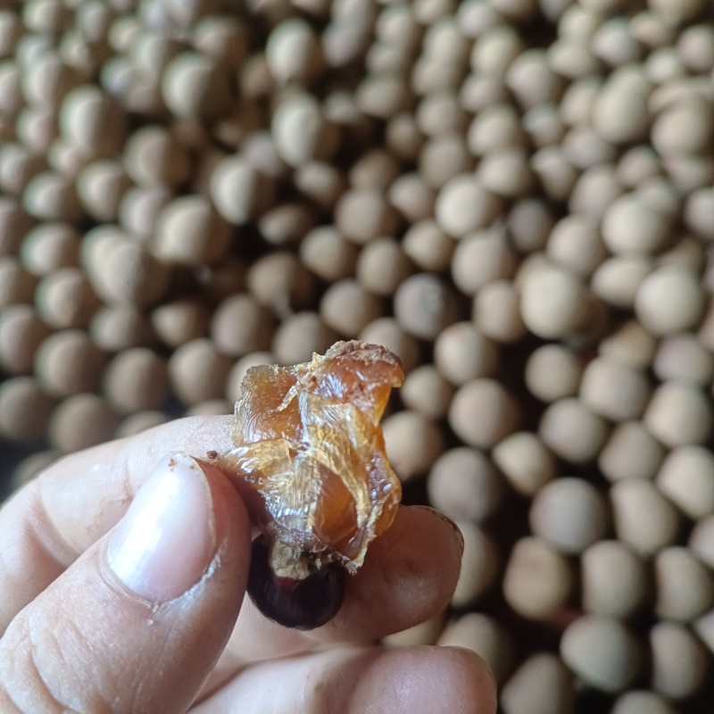 广西石硖龙眼干，桂圆干产地直销保质保量诚信经营欢迎联系