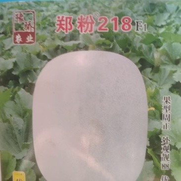 冬瓜