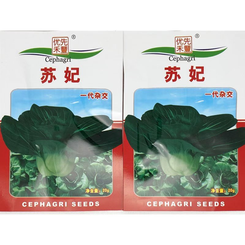 苏妃黑叶矮脚苏州青种子耐冻黑亮矮箕黑菜种原装