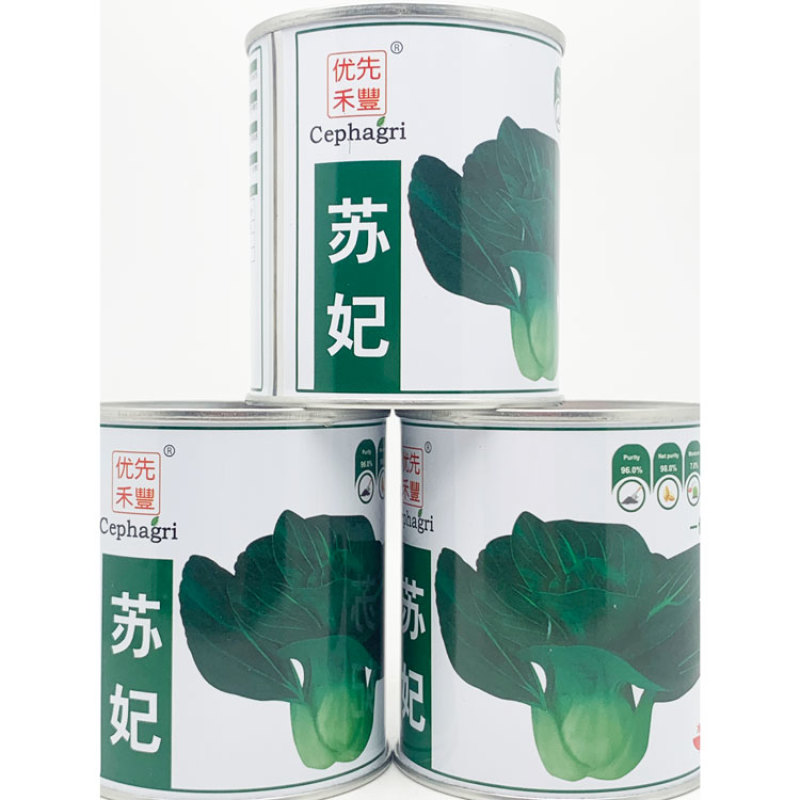 苏妃黑叶矮脚苏州青种子耐冻黑亮矮箕黑菜种原装