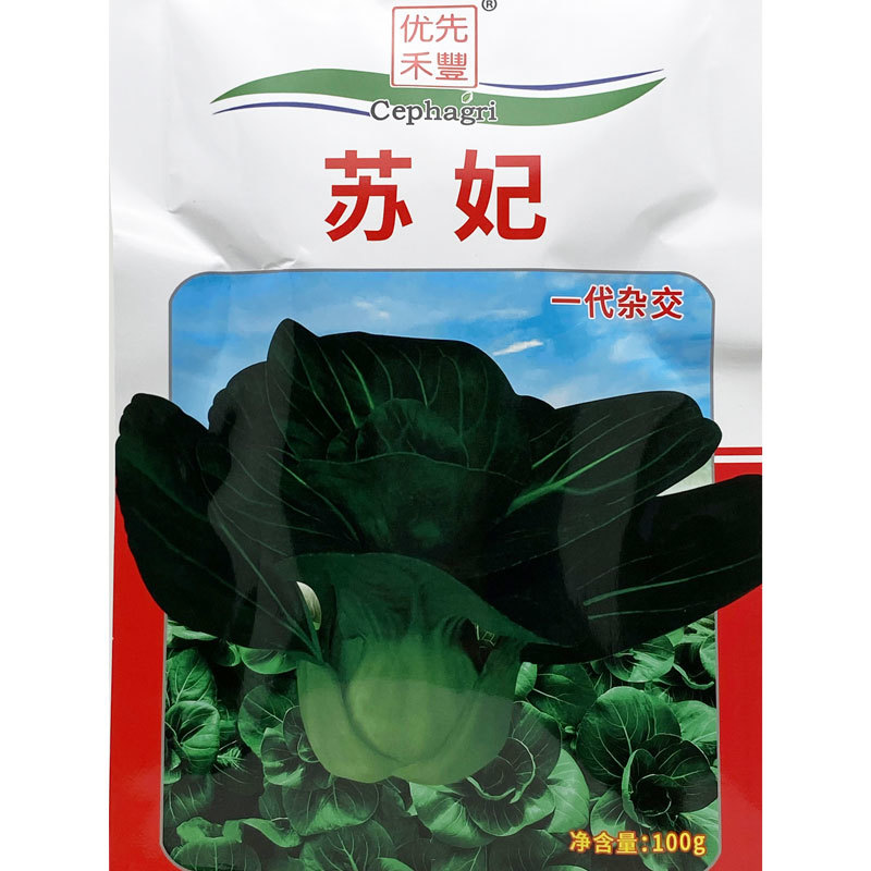 苏妃黑叶矮脚苏州青种子耐冻黑亮矮箕黑菜种原装