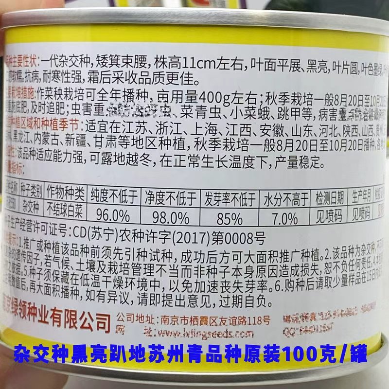 苏冠550宝塔苏州青种子耐冻矮脚趴地苏州青种子原装