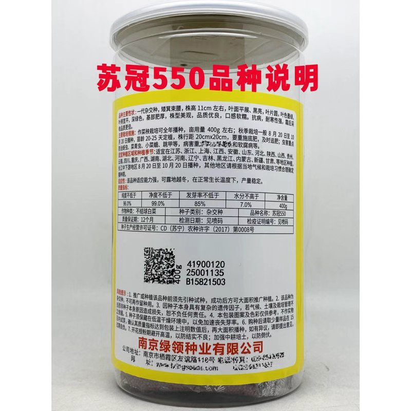 苏冠550宝塔苏州青种子耐冻矮脚趴地苏州青种子原装