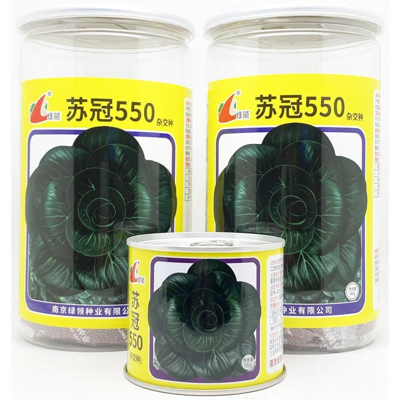 苏冠550宝塔苏州青种子耐冻矮脚趴地苏州青种子原装