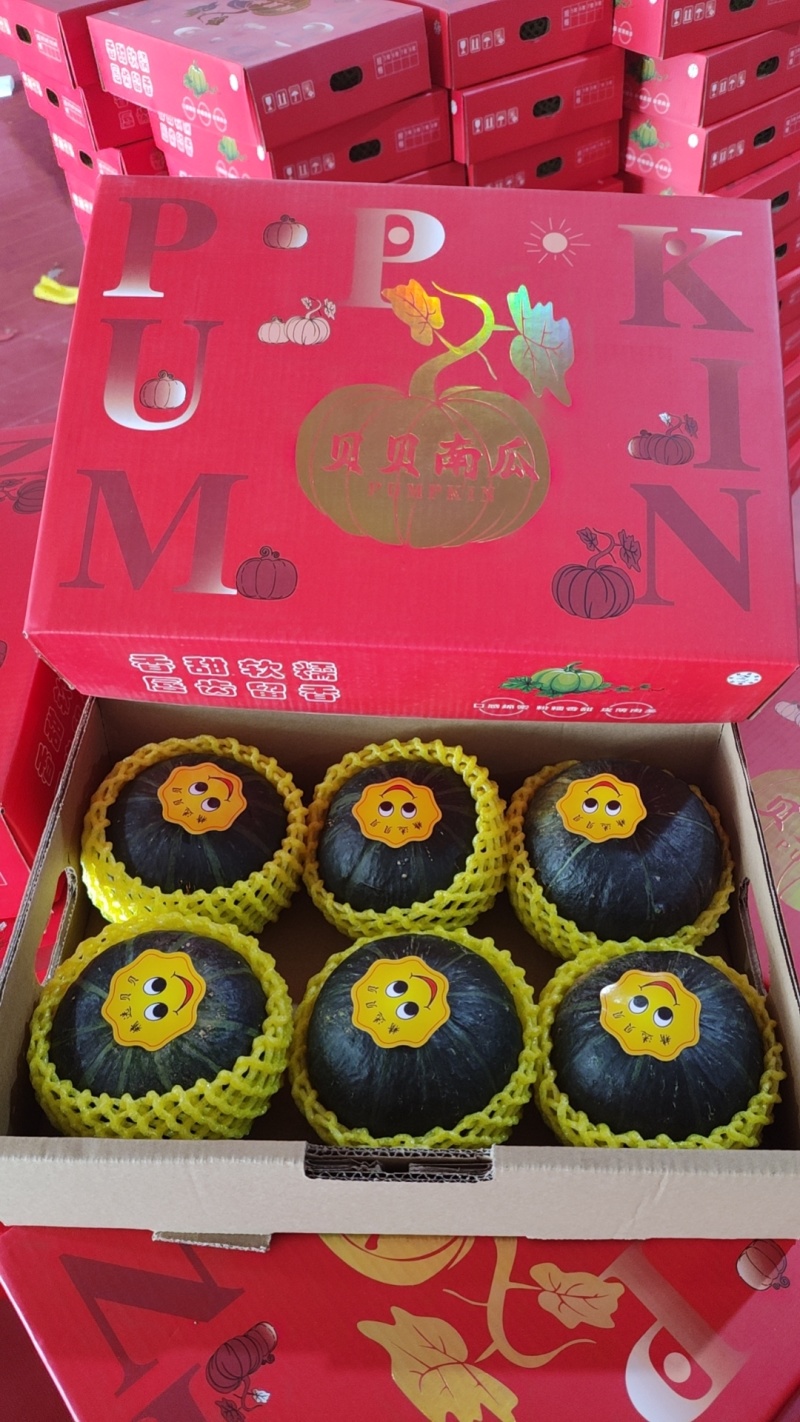 山东贝贝南瓜礼盒装大量现货欢迎各位老板联系