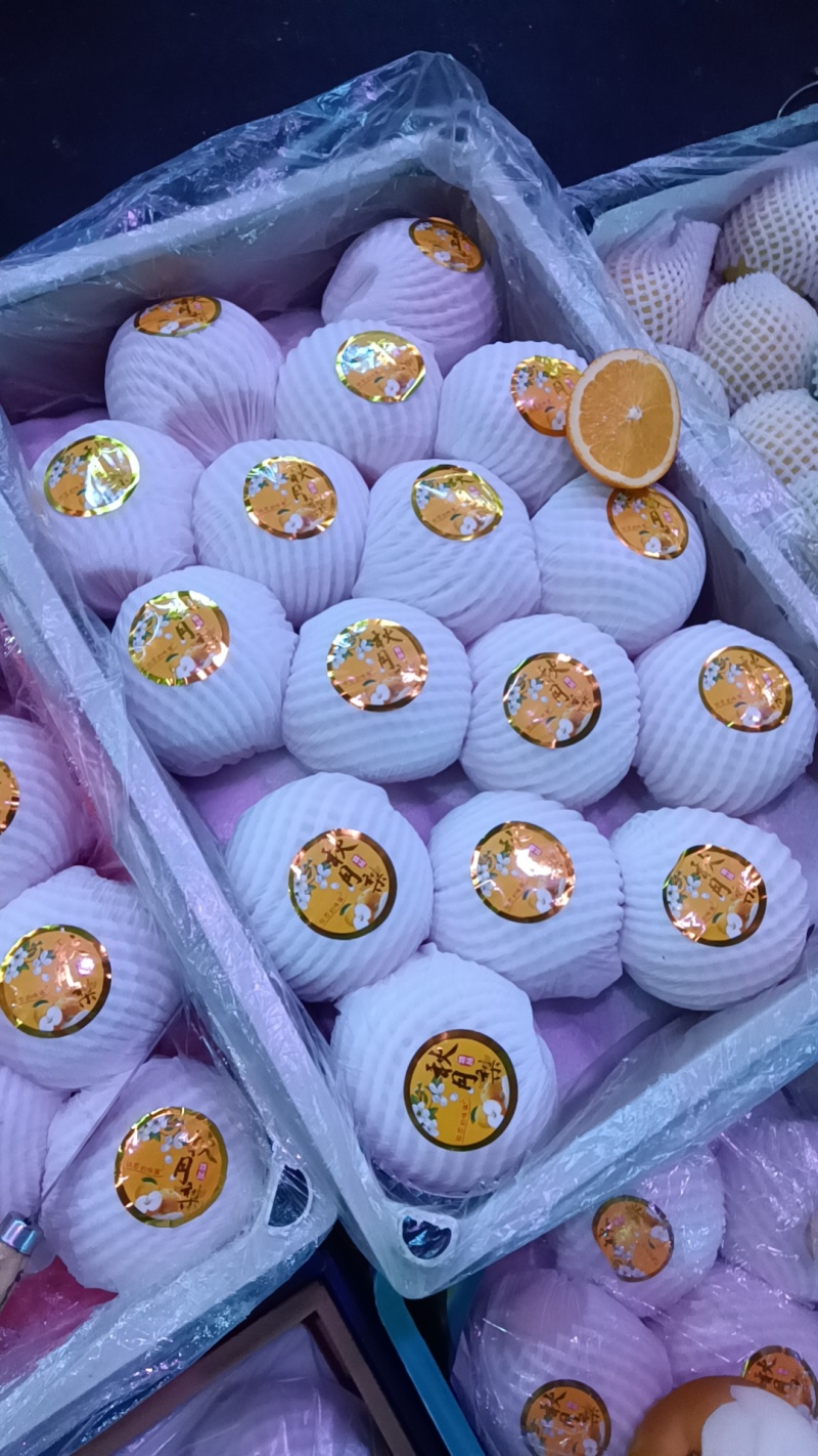 莱西秋月梨直销