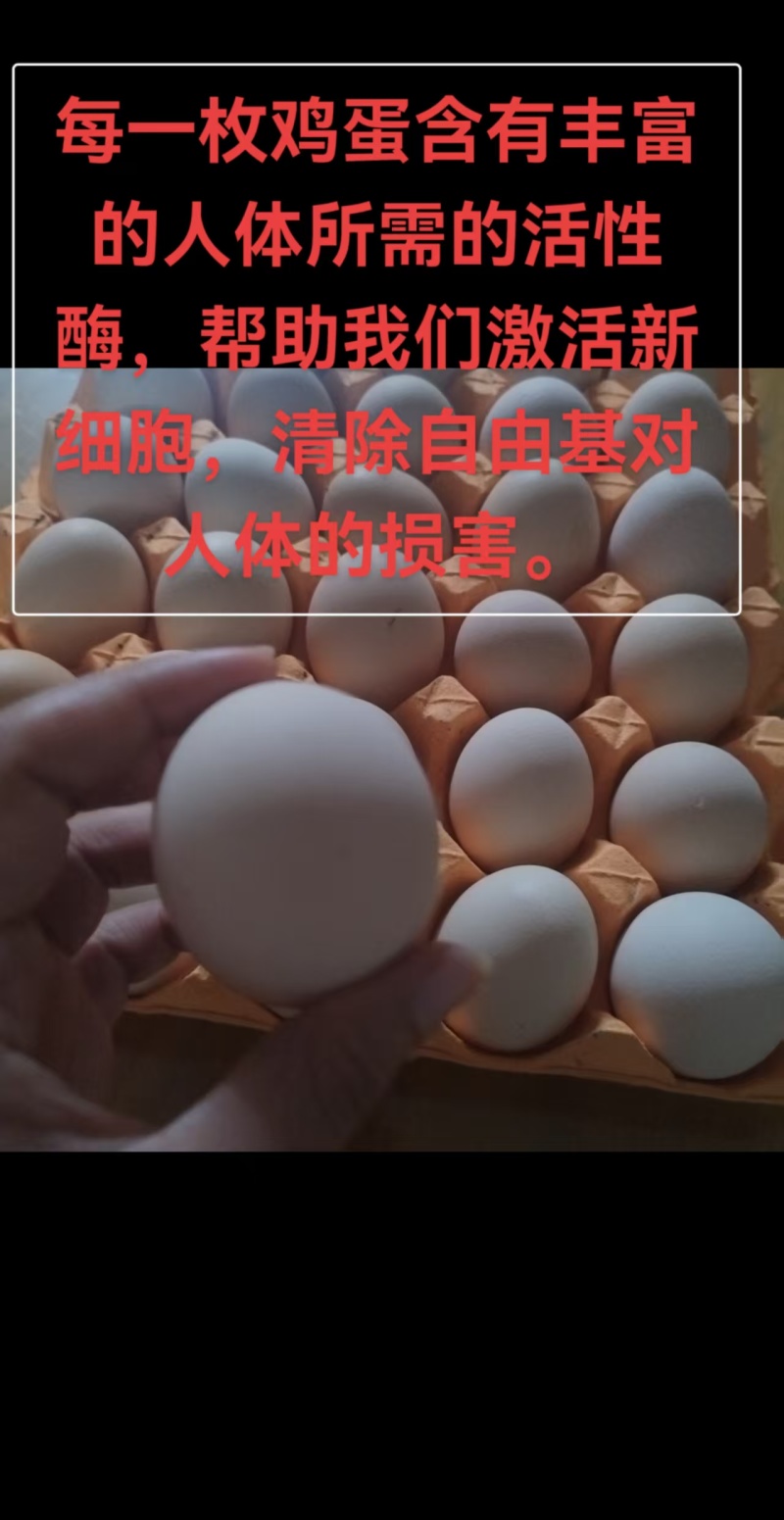万担粮SOD可生食鸡蛋#无抗无菌鸡蛋#谷物喂养30枚