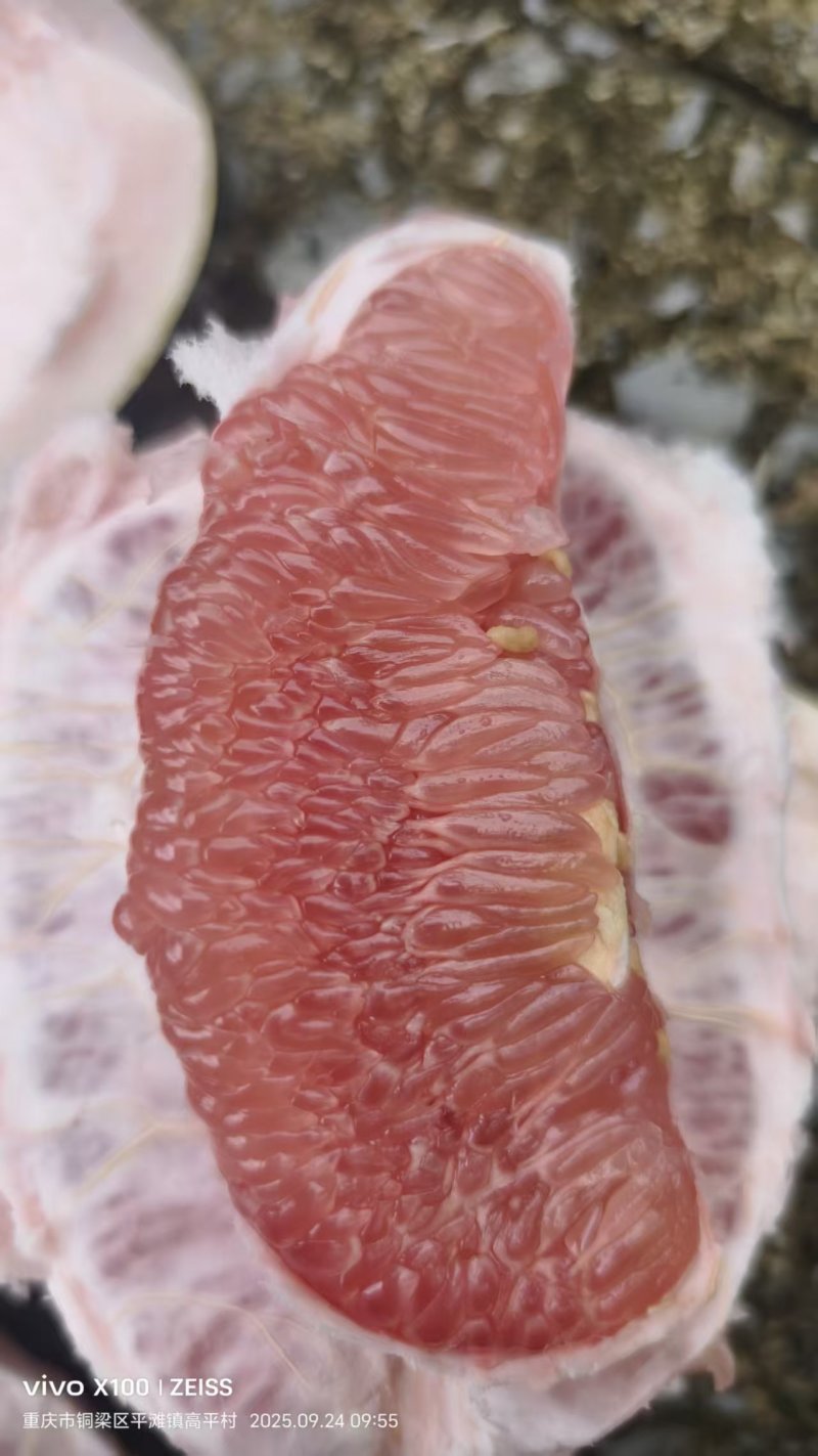 四川绵阳红心柚，三红柚