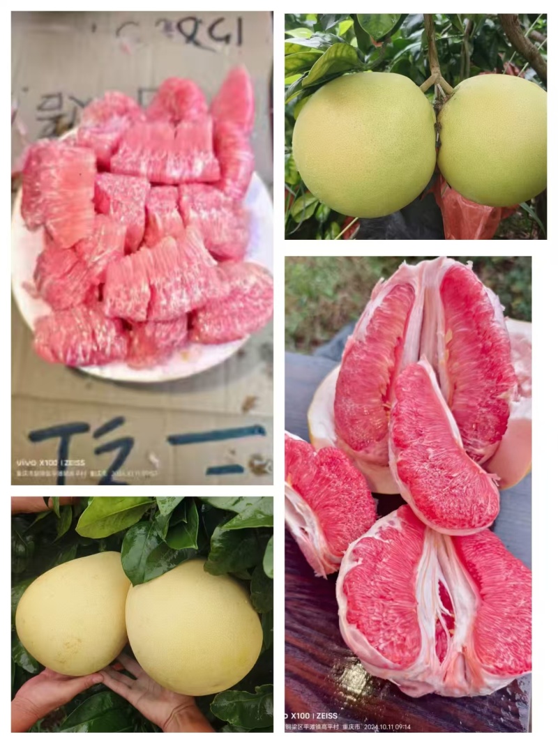 四川绵阳红心柚，三红柚