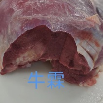 牛霖