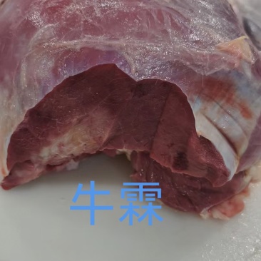 牛霖
