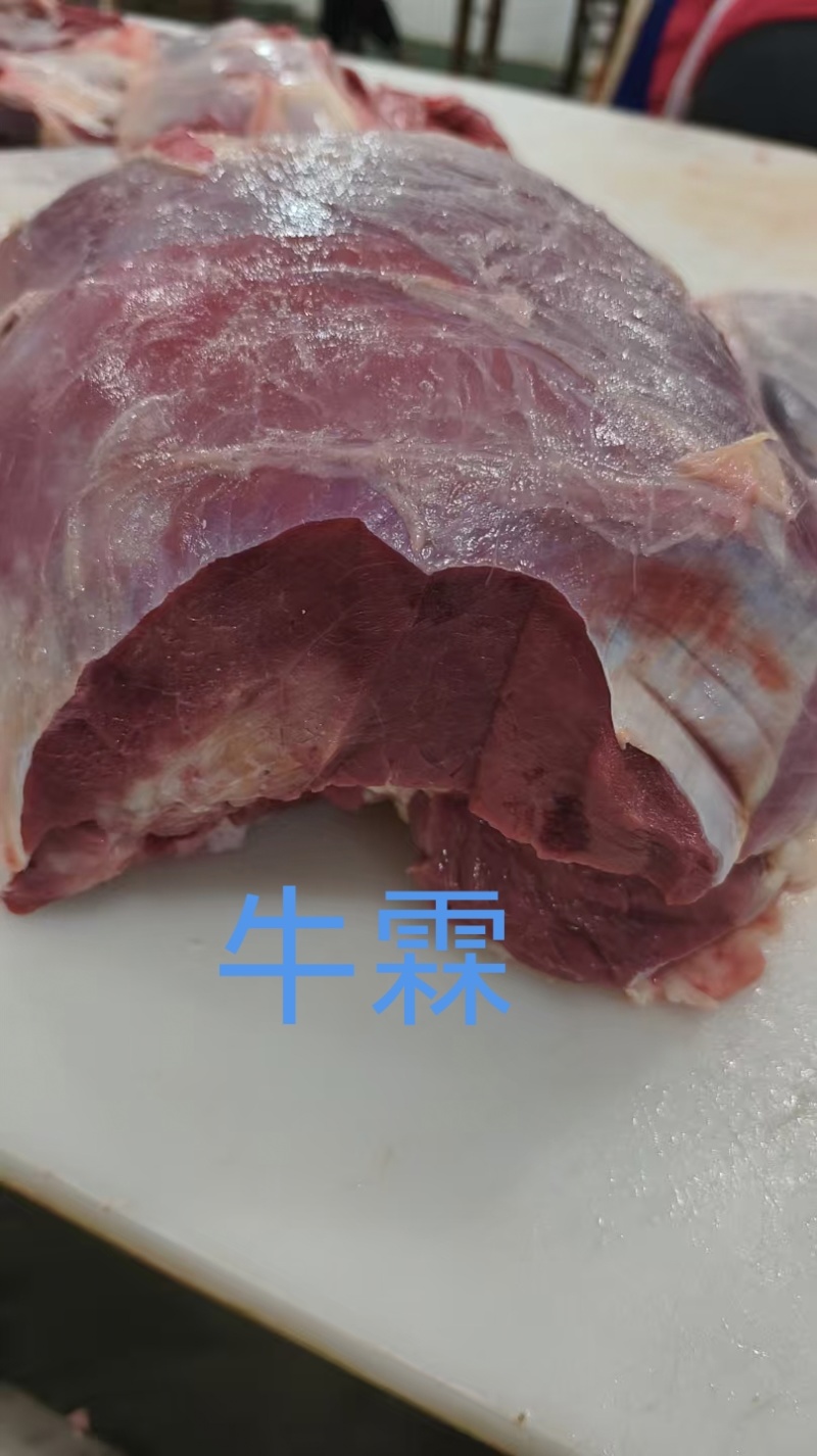 牛霖