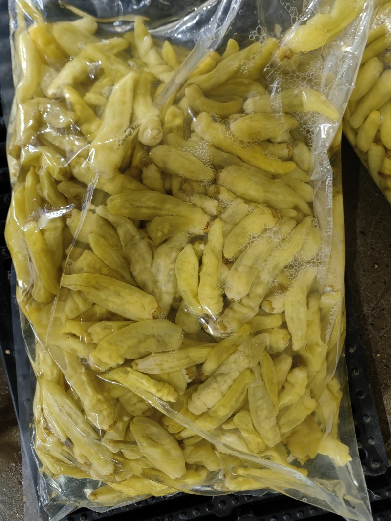 白米椒泡椒源头厂家