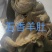 五香羊肚