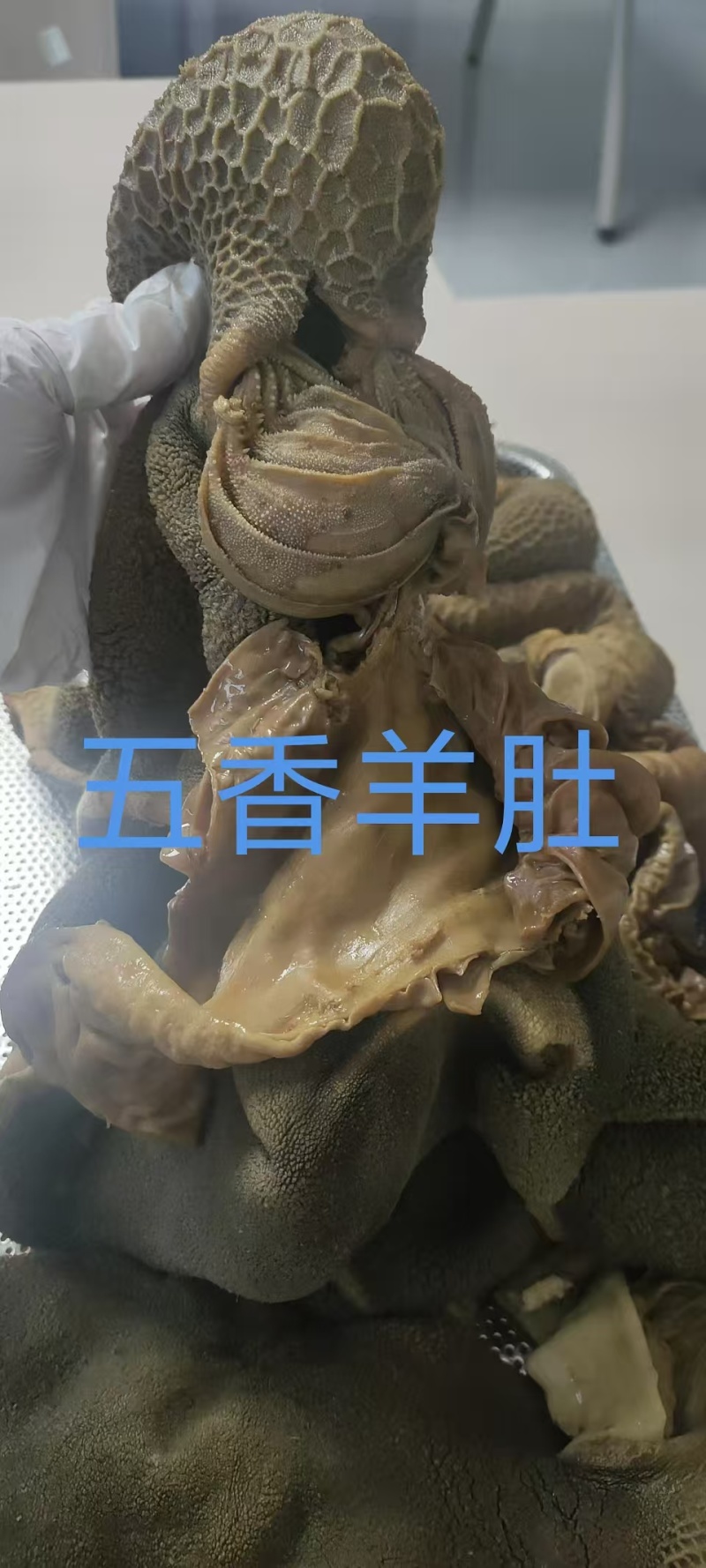 五香羊肚