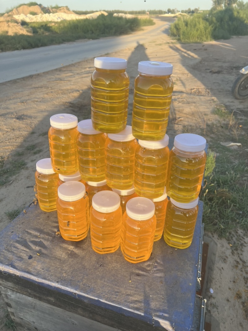 山花蜜成熟蜜，对接批发商，质量保证，欢迎联系，价格可谈