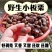 日照板栗东石嘴子村