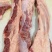加肉燕翅骨