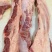 加肉燕翅骨