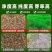 鼠茅草种子树林绿化绿肥绿肥草种鼠茅草种籽绿肥鼠茅草种籽批