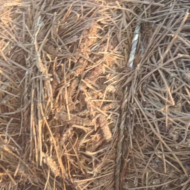 夏枯草产地直销，精品压件货源充足