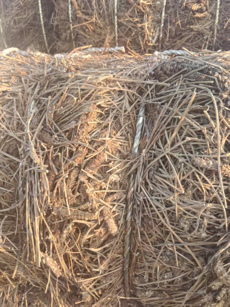 夏枯草产地直销，精品压件货源充足