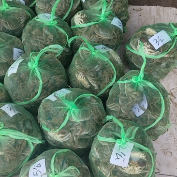 欢迎有需求的老铁看看！