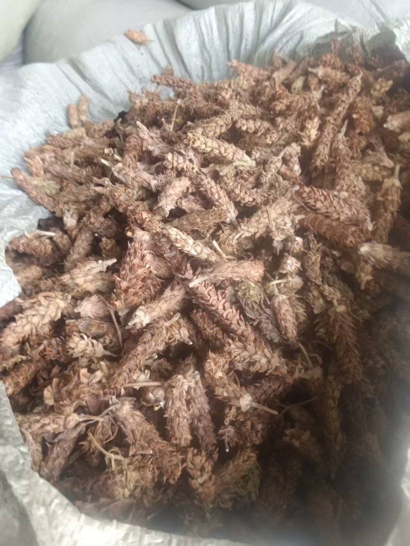 夏枯球支持视频看货，诚信经营，客户至上！