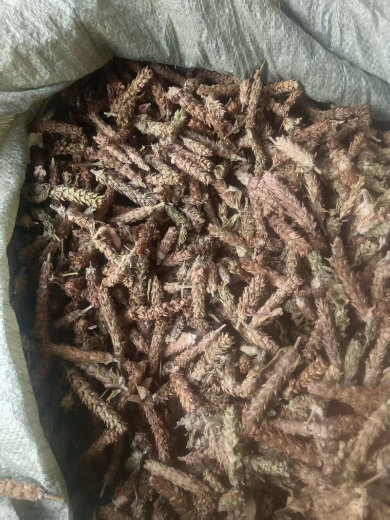 夏枯球支持视频看货，诚信经营，客户至上！