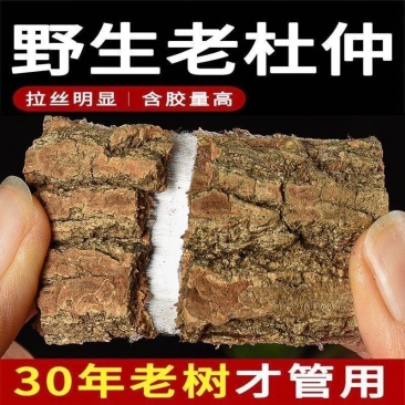 杜仲野生百年杜仲皮特级正宗杜仲中药材批发杜仲茶泡酒煲汤